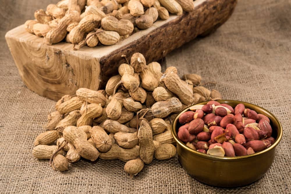 Tree Nut Allergy