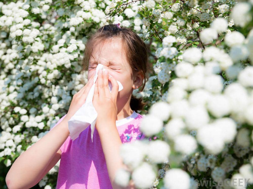 allergy desensitization