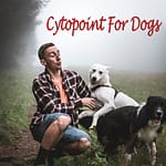 Cytopoint For Dogs