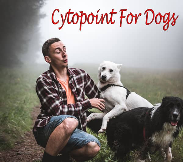 Cytopoint For Dogs – Atopic Dermatitis & Canine Allergy Injection