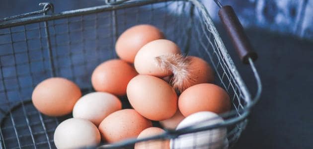 food allergy triggers