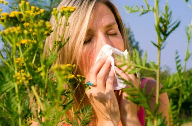 Tips to fight against pollen allergies
