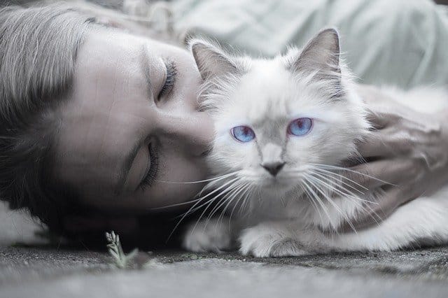 Allergy to Cat Hair