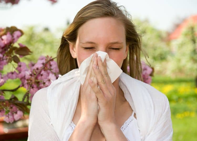 Seasonal allergies Myths and Facts