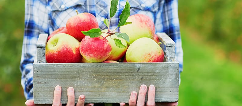 What Is a Cross-Allergy? Pollen-Food Reactions Explained