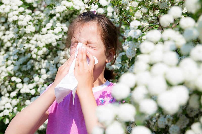 Allergy Desensitization – An Evolving And Effective Treatment
