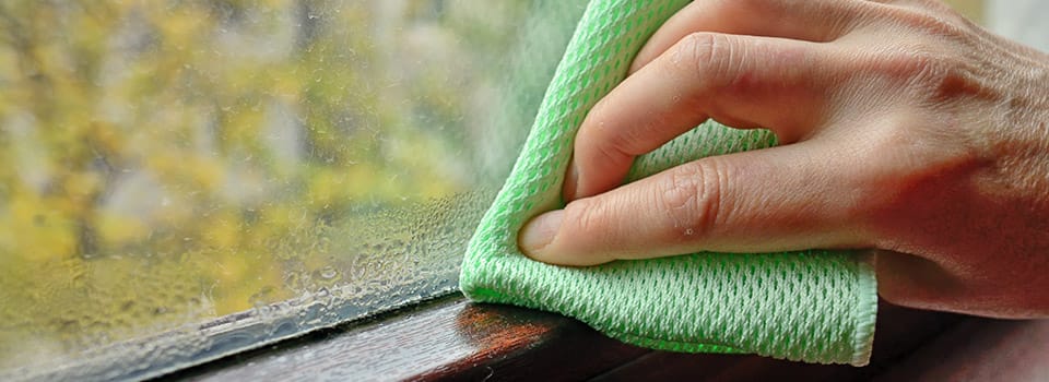 mold allergy
